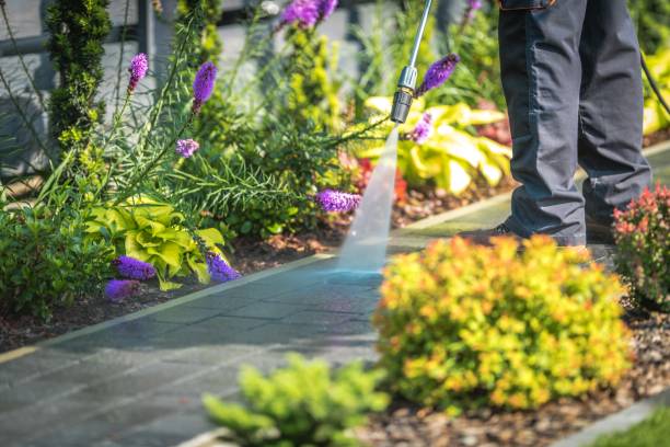 Best House Exterior Washing  in Bodfish, CA