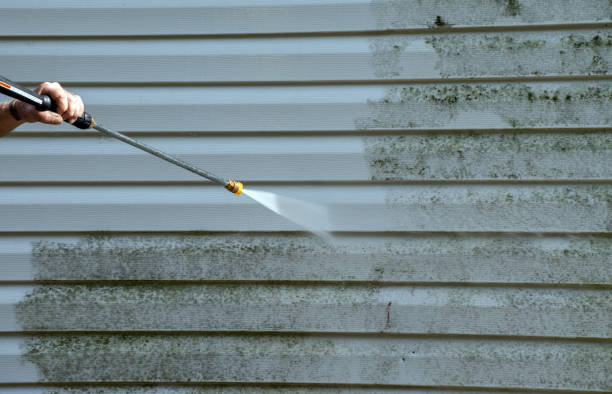 Best Sidewalk and Walkway Cleaning  in Bodfish, CA