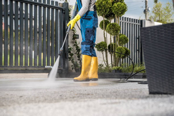 Best House Exterior Washing  in Bodfish, CA